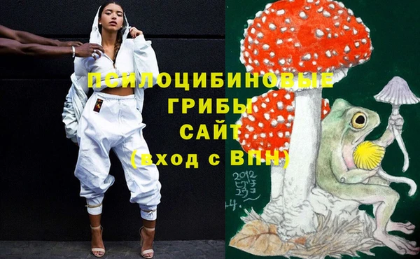 тгк Переславль-Залесский