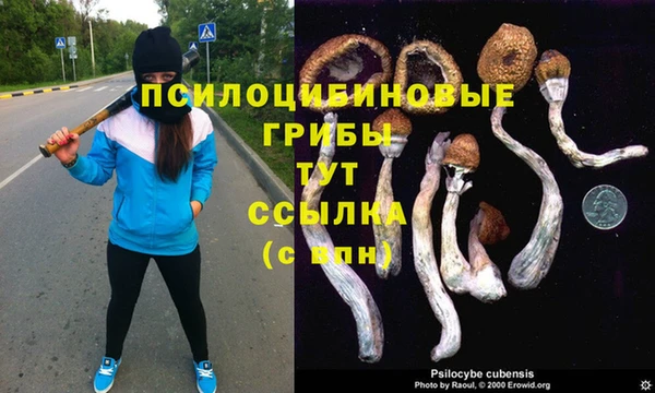 mix Алексеевка